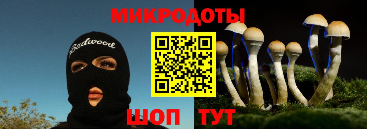 Галлюциногенные грибы Magic Shrooms  Вход с VPN  Псилоцибиновые грибы MAGIC MUSHROOMS  Жигулёвск 